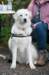 dsc_2179_small.jpg