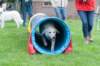 dsc_2216_small.jpg