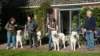 dsc_2271_small.jpg